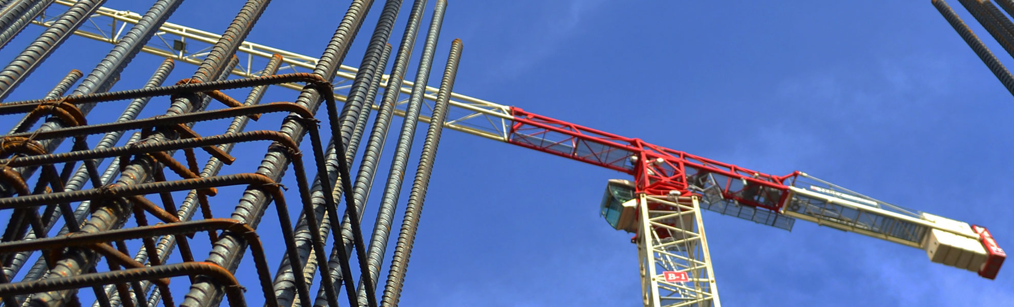 Vuoi comprare o noleggiare?